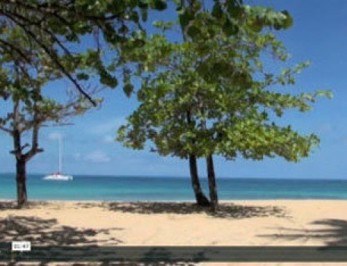 Video ¡Las Terrenas, olvídate!